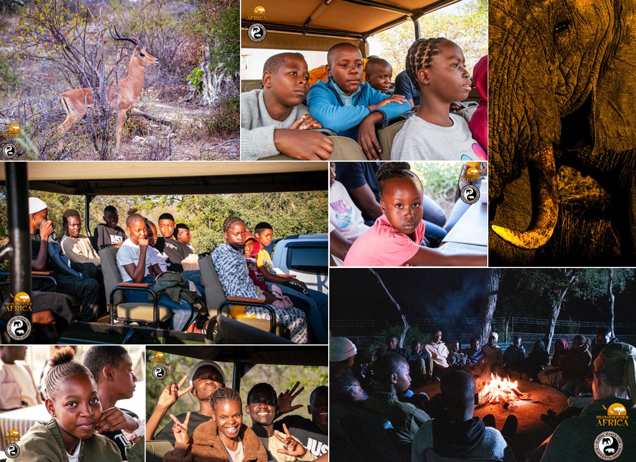 Collarge image of the Mambas in the Park program