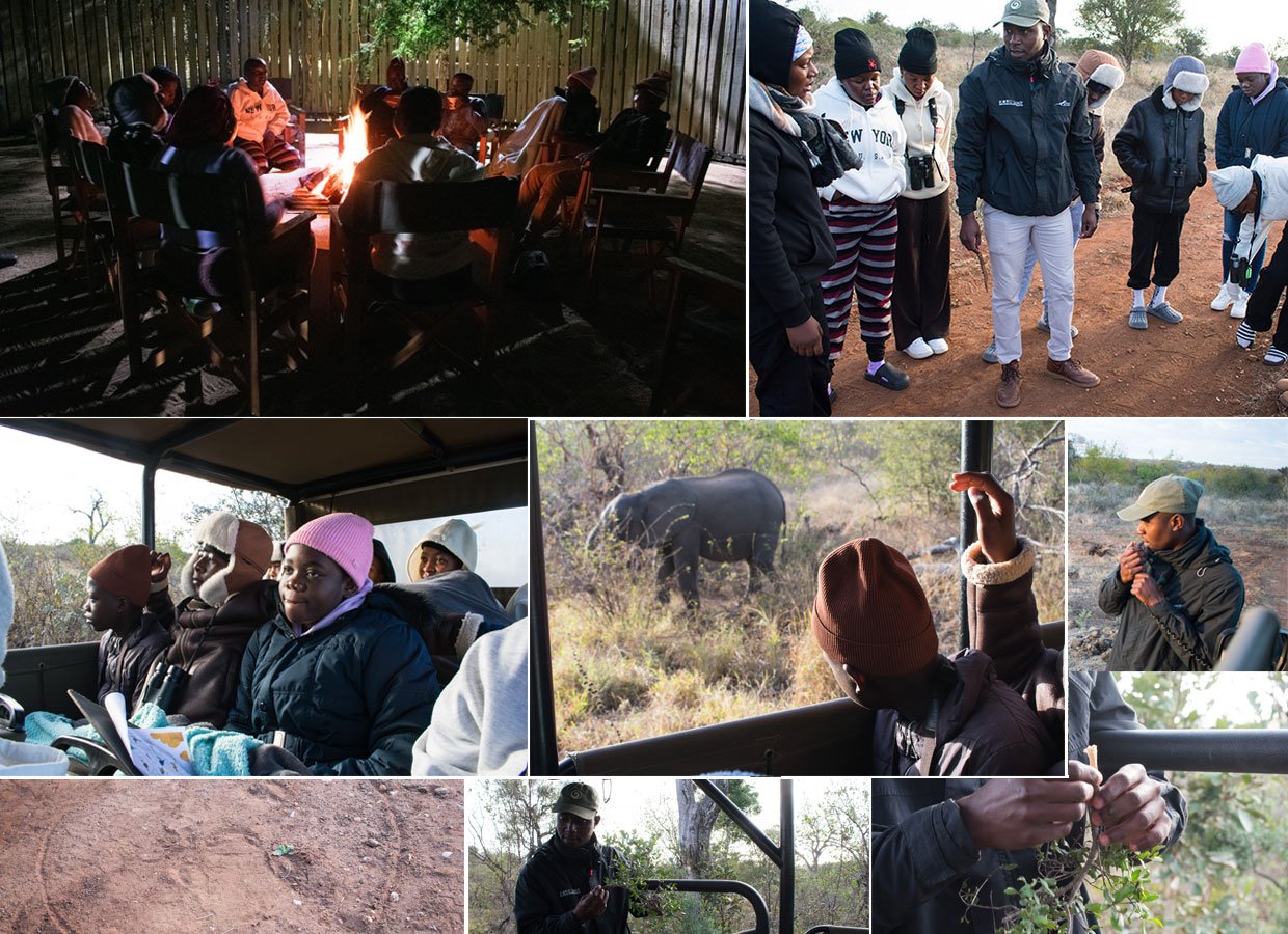 Collarge image of the Mambas in the Park program